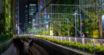 Shibuya river