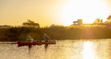 Tama River canoeing at sunset