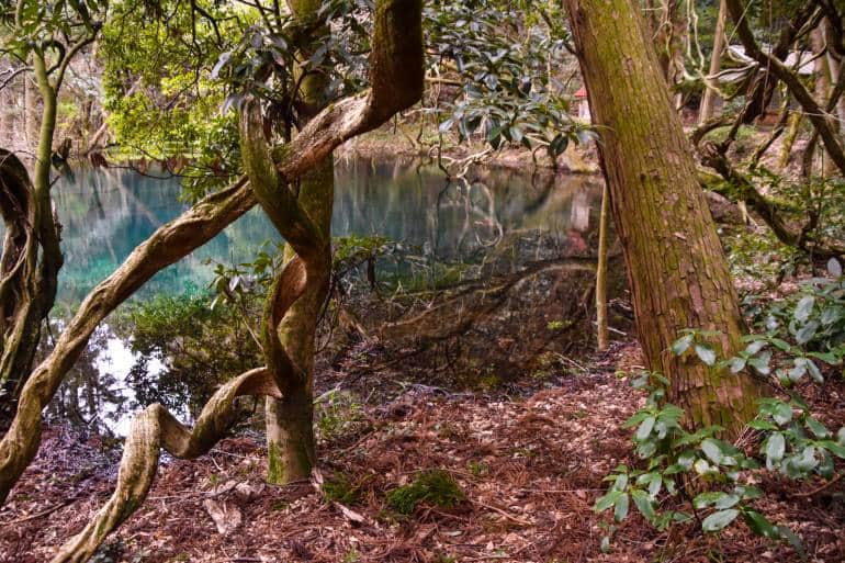 maruike pond