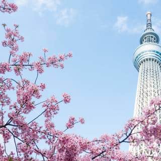 Oshiage Area Guide Tokyo Cheapo