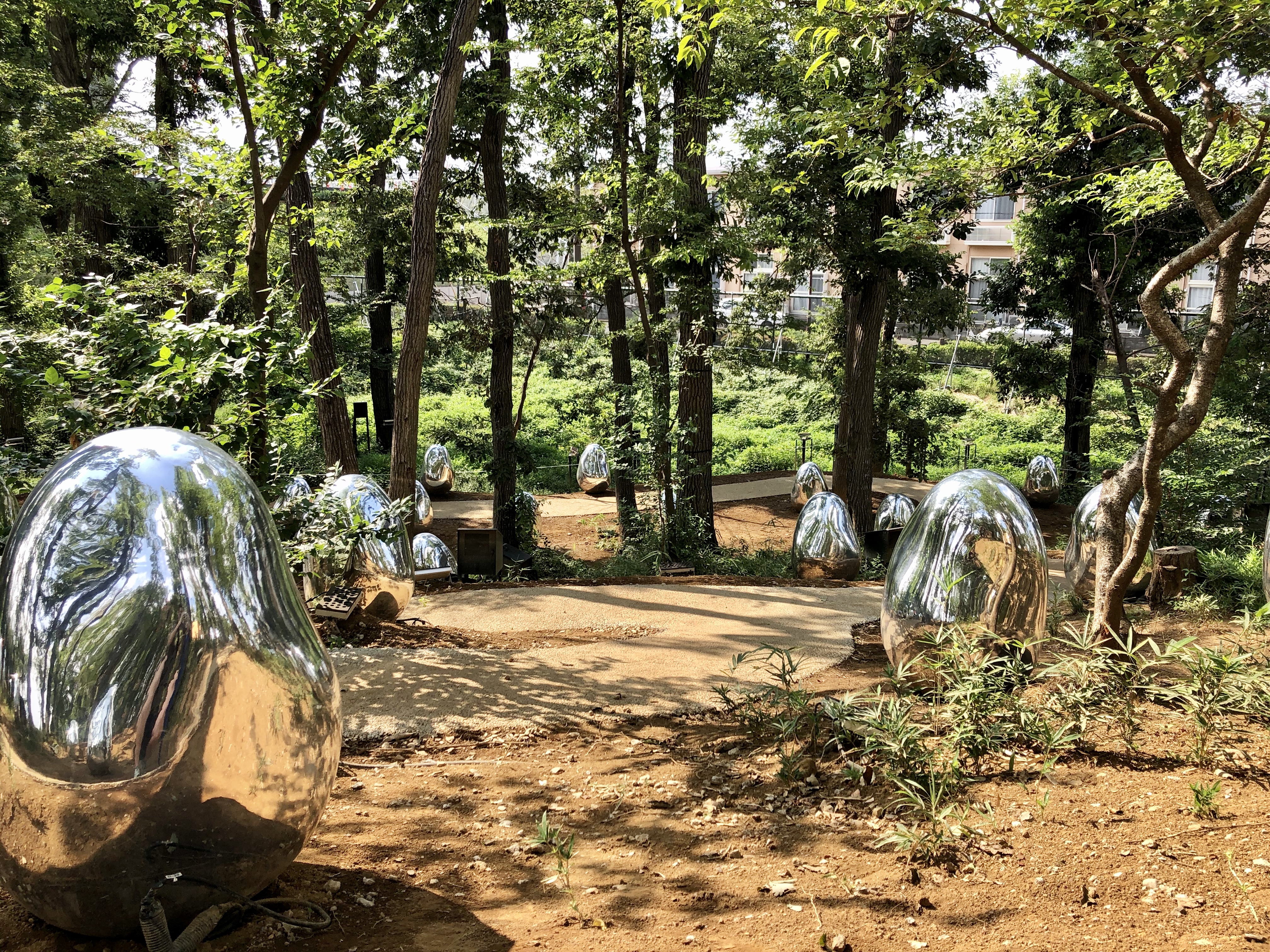 Day Trip to Saitama: teamLab & Sakura Town | Tokyo Cheapo
