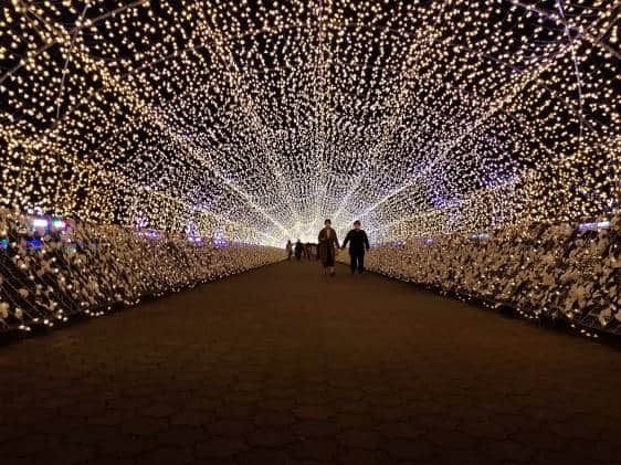 Edo Sakura Tunnel Oi Keibajo