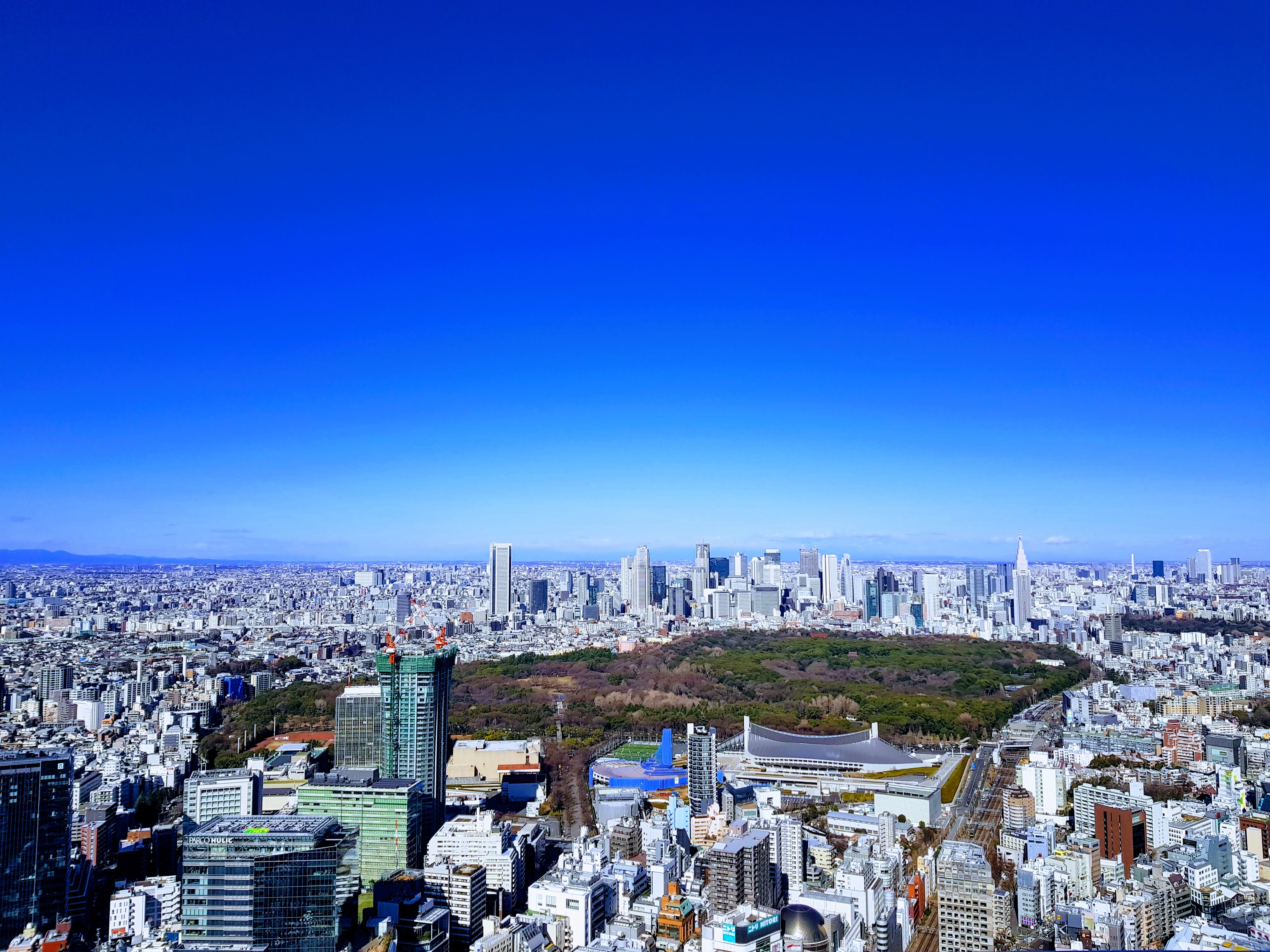 SHIBUYA SCRAMBLE SQUARE10.244F RENEWAL OPEN!リニューアル後の