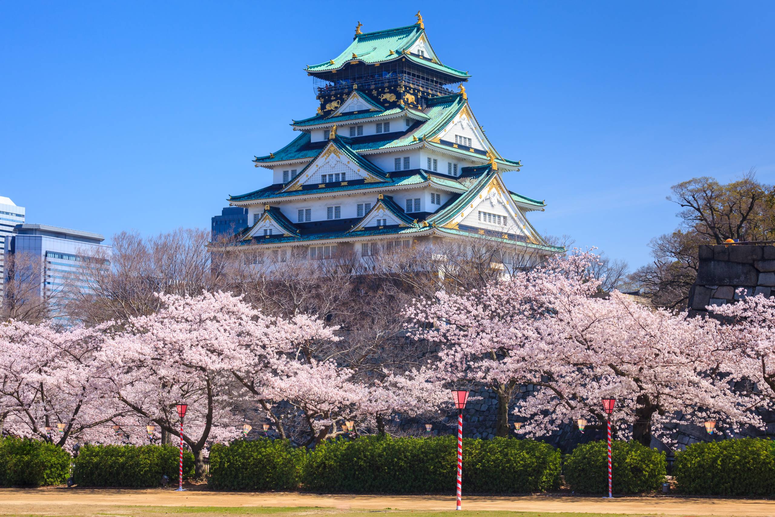 Osaka Castle with cherry blossoms