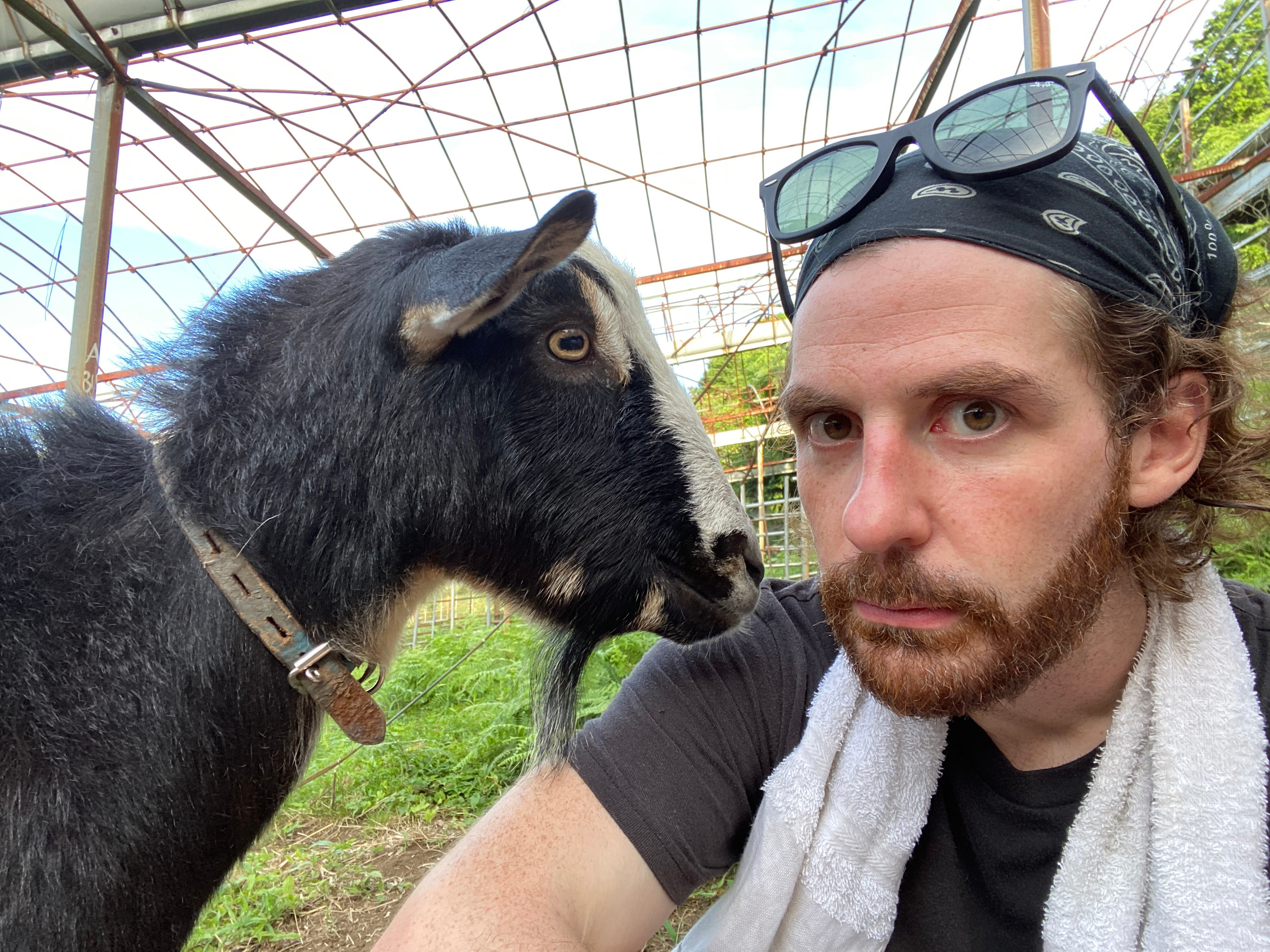An Interview with Matt Ketchum of Akiya & Inaka | Tokyo Cheapo