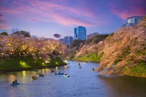 chidorigafuchi-moat-chiyoda-