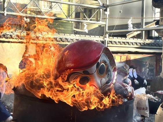 ome daruma market jan. 12 2026