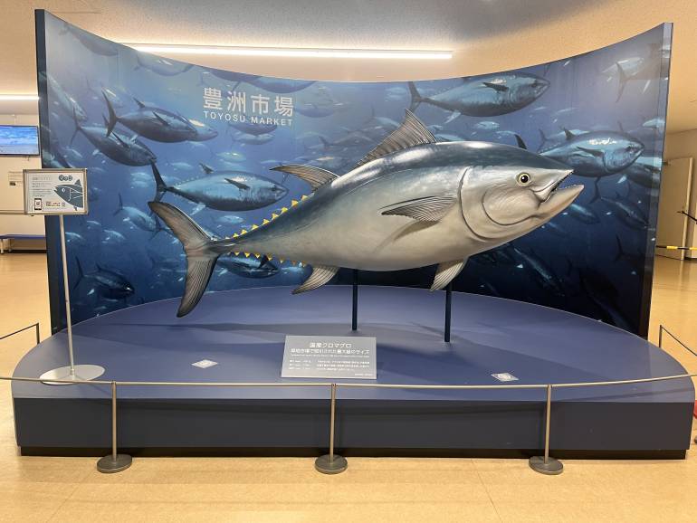 big maguro
