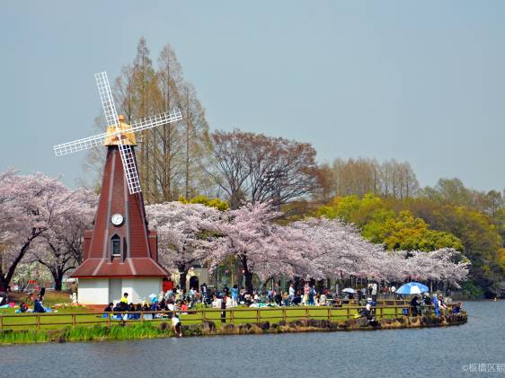 places to visit north of tokyo