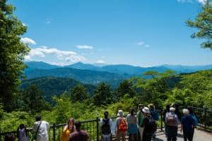 Mount Takao Day Trip: Explore Tokyo's Favorite Mountain | Tokyo Cheapo