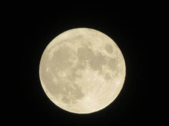 Moon Viewing in Tokyo 2026: Tsukimi Events and Dates | Tokyo Cheapo