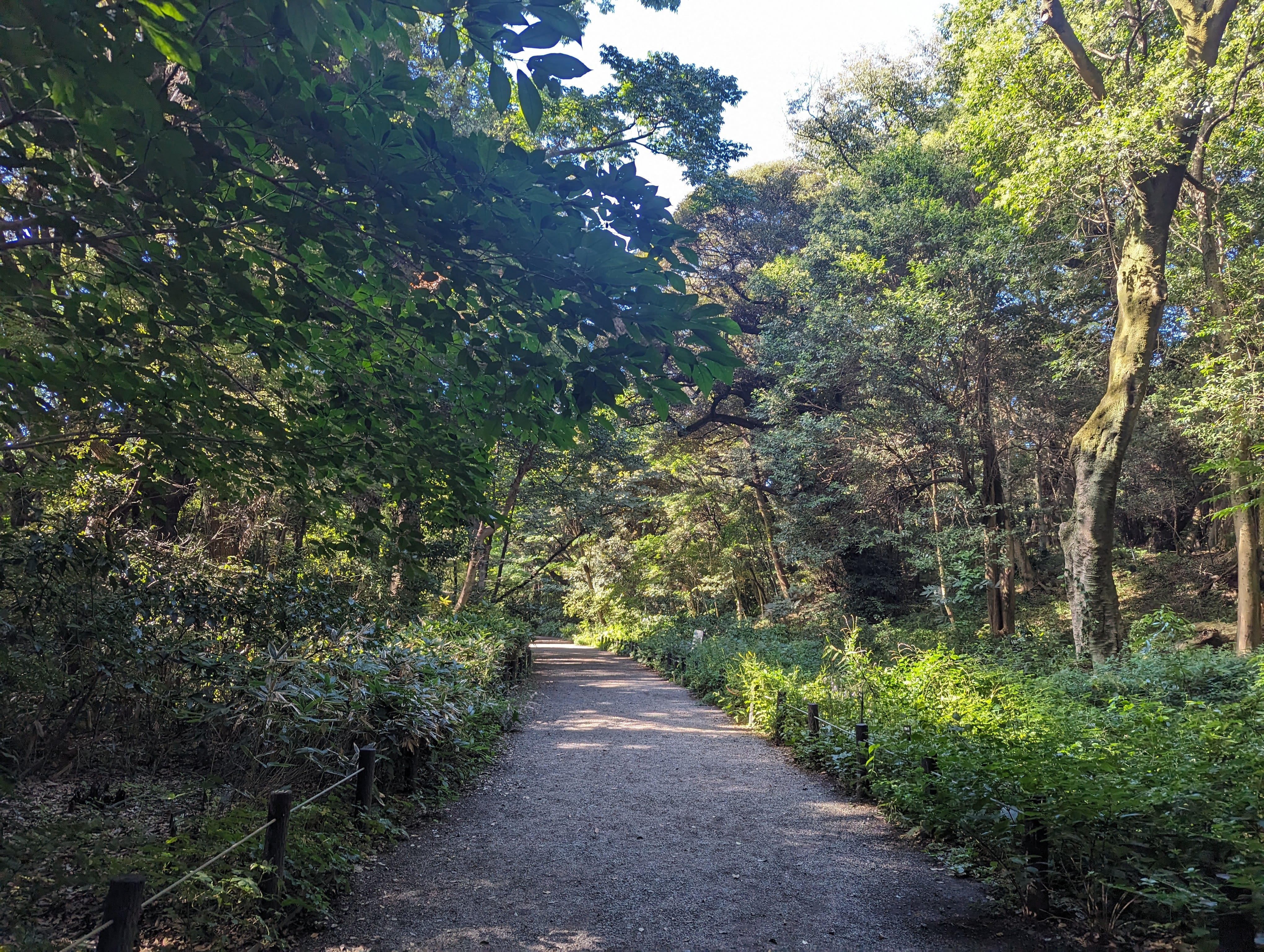 大学が見える公園 大学公園 クチコミ・アクセス・営業時間｜クラクフ【フォー