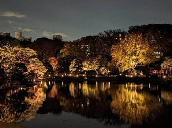 Autumn illuminations at Rikugien gardens