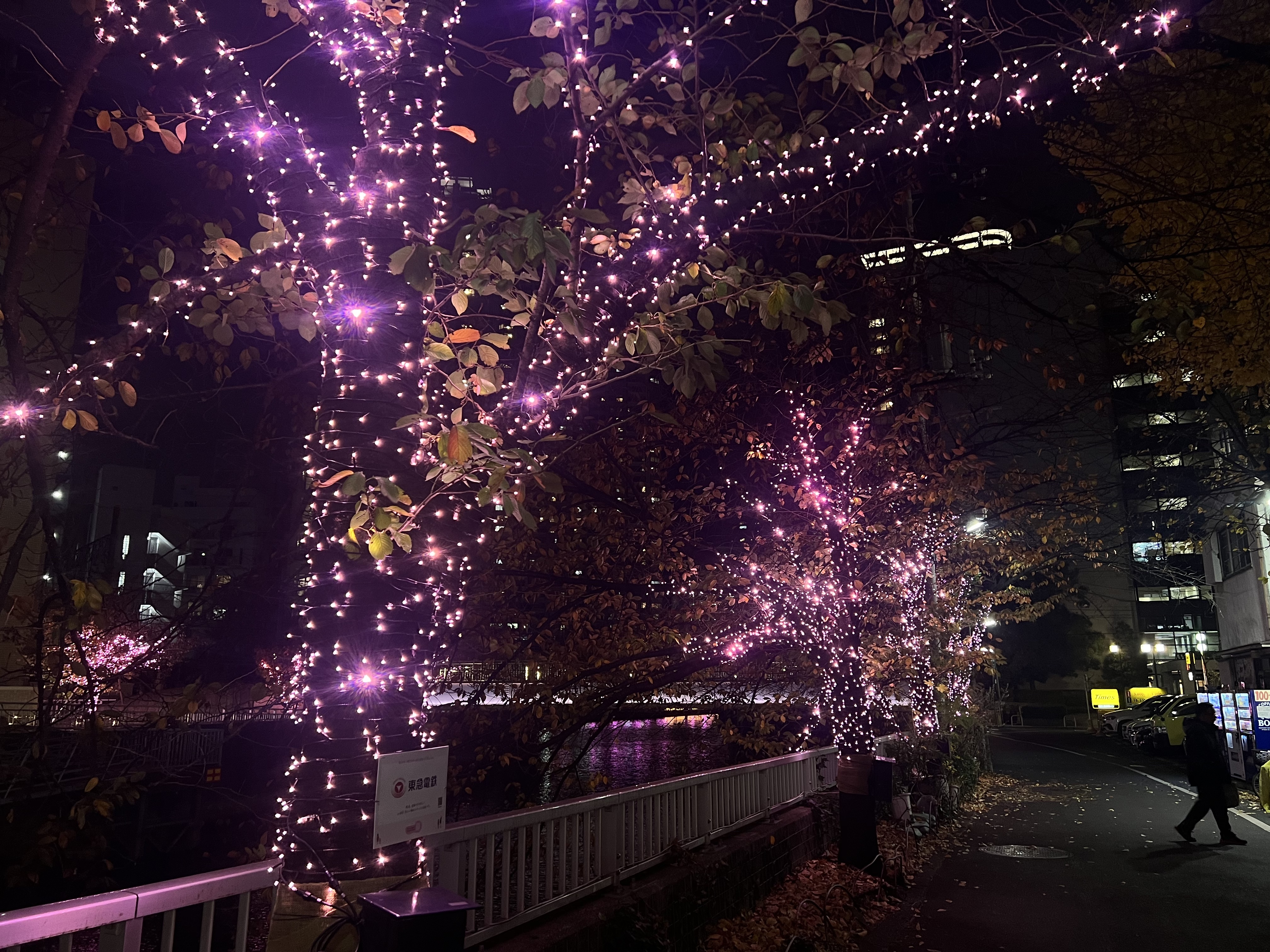 目黒川みんなのイルミネーション2026