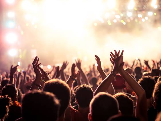 live concert audience