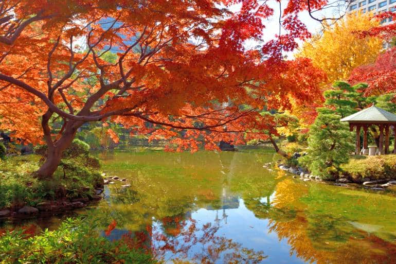 Kōyō: 19 Top Places To See Autumn Leaves in Tokyo in 2026 | Tokyo Cheapo