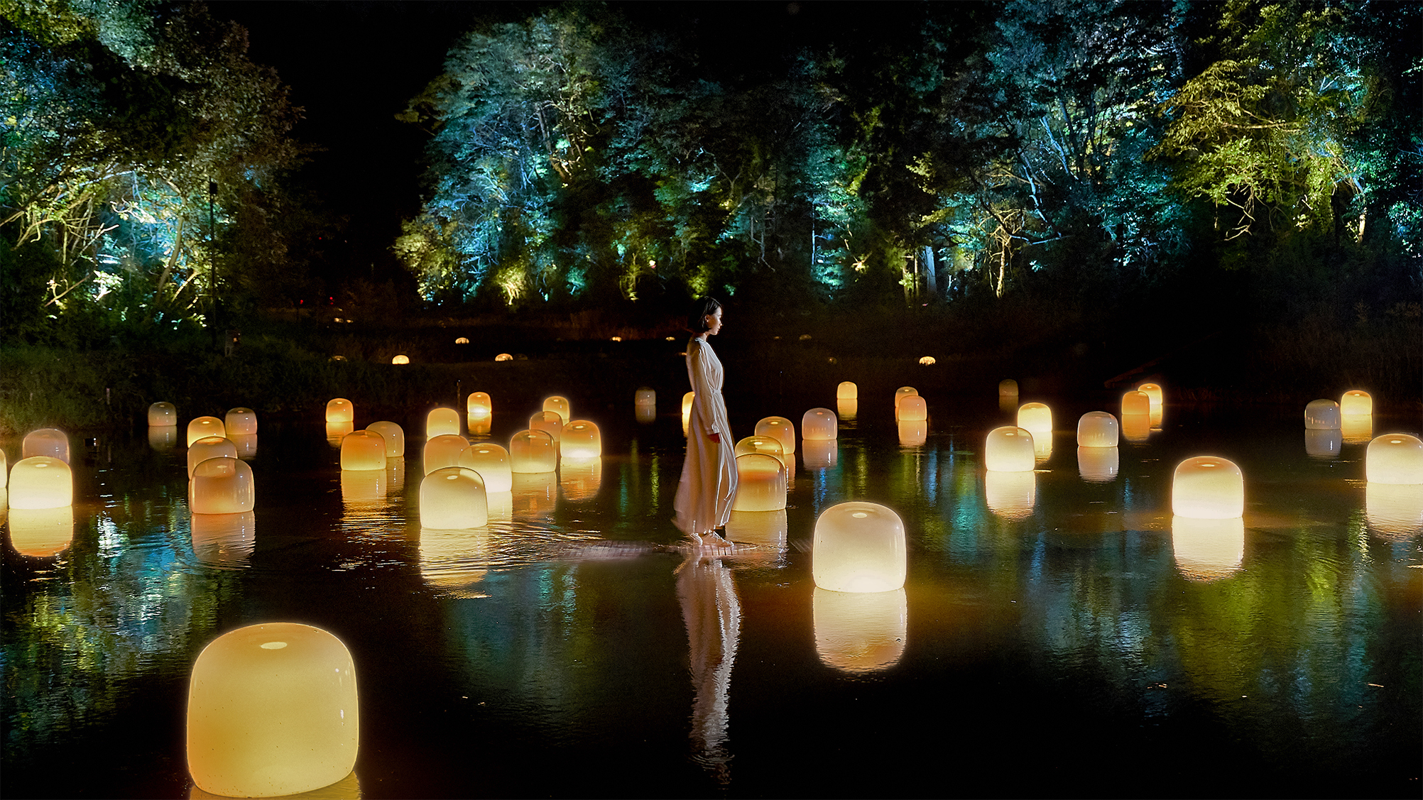 teamLab: Hidden Traces of Rice Terraces (Ibaraki) | Tokyo Cheapo