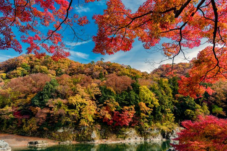 Autumn foliage at Nagatoro in Japan