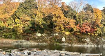 Nagatoro iwadatami on Nov 23, 2025