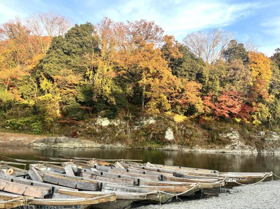 Nagatoro iwadatami on Nov 23, 2025