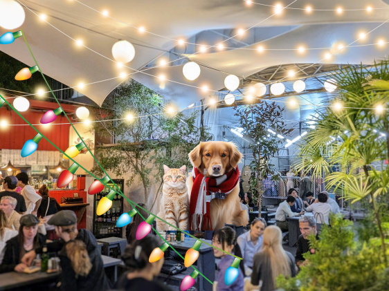 Downtown Drinks 52 Light It Up Nov 14 2024 Tokyo Cheapo