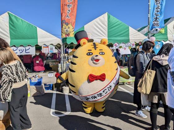 tiger-562x421.jpeg