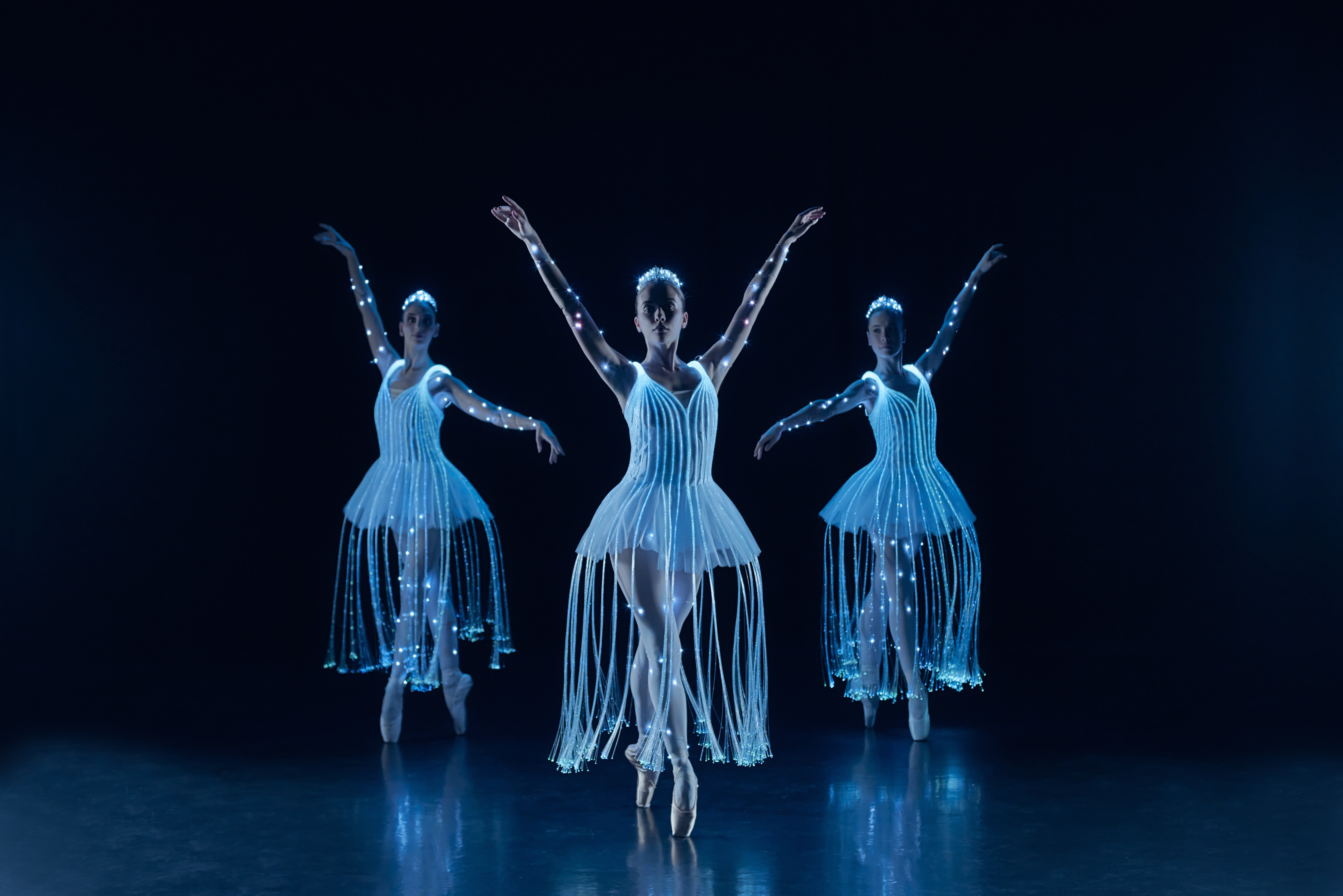Ballet by Fever, Feb 2, 2025 | Tokyo Cheapo