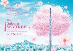 THREETHREE 限定 X02 SAKURA MIDTOWN 3d-calendar-2025-sakura-tree-