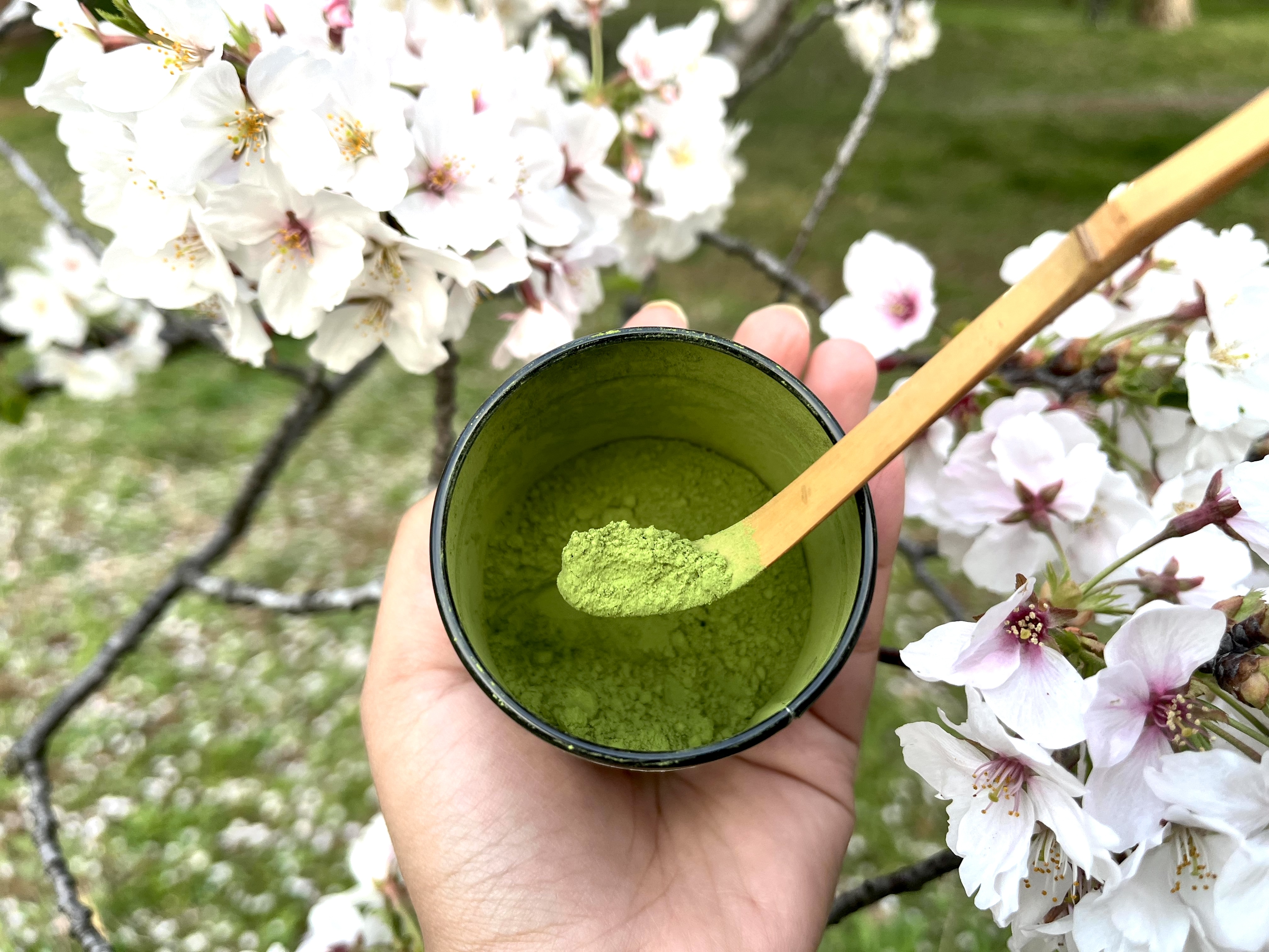 Matcha Shortage in Japan — Everything You Need to Know | Tokyo Cheapo