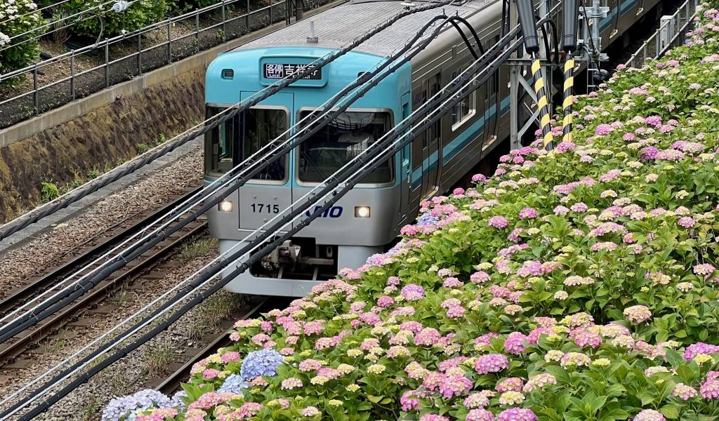 Visa Is Offering 30% Cashback on Train Fares in Japan