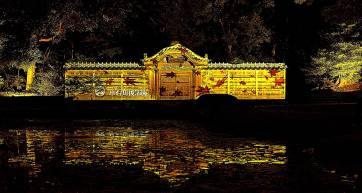 Koishikawa Korakuen Autumn Illumination