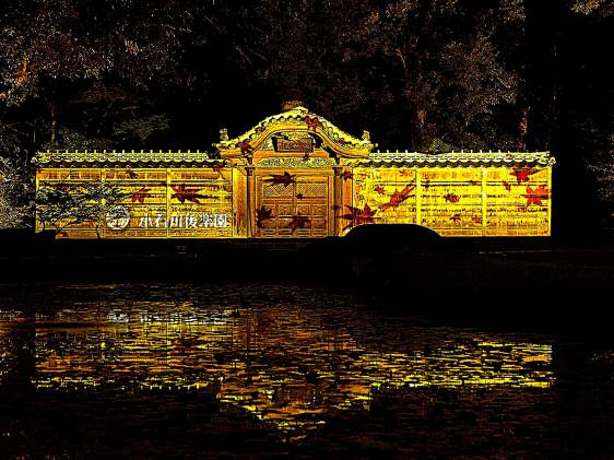 Koishikawa Korakuen Autumn Illumination