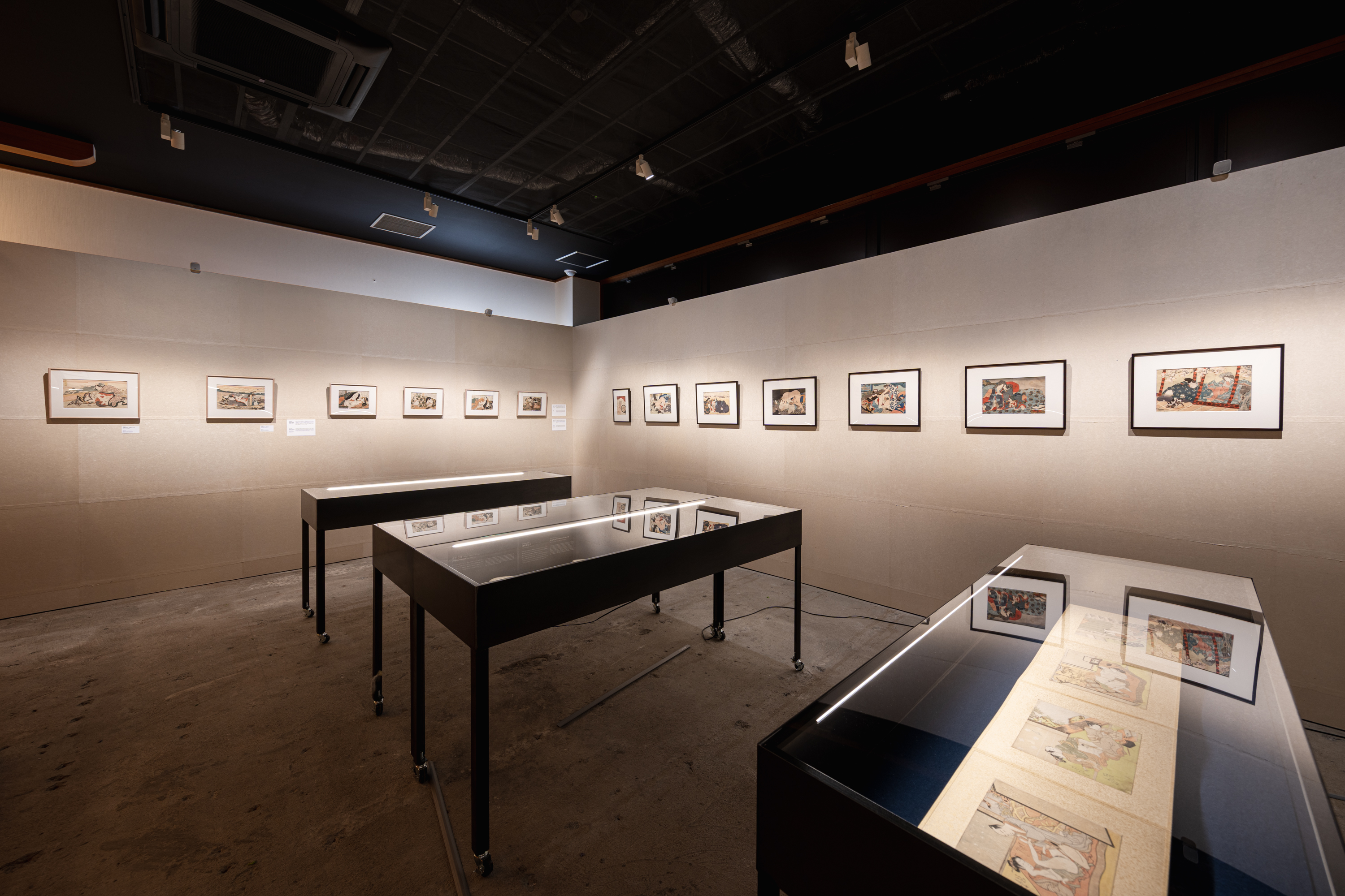 コレクション JAPON (THE ART OF SHUNGA) 71PtPazdAFL._AC_UF350,