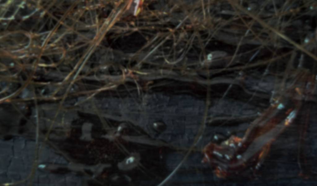 Hisaya Kumano Solo Exhibition: Frozen Strings