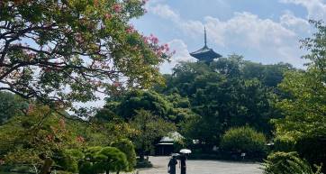 Wide shot of Sankei-en Garden