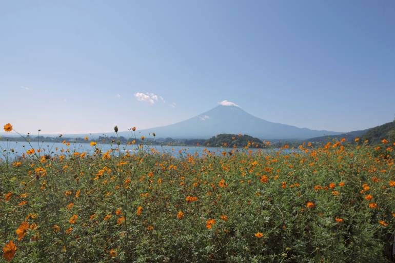 Mt Fuji Oishi Park