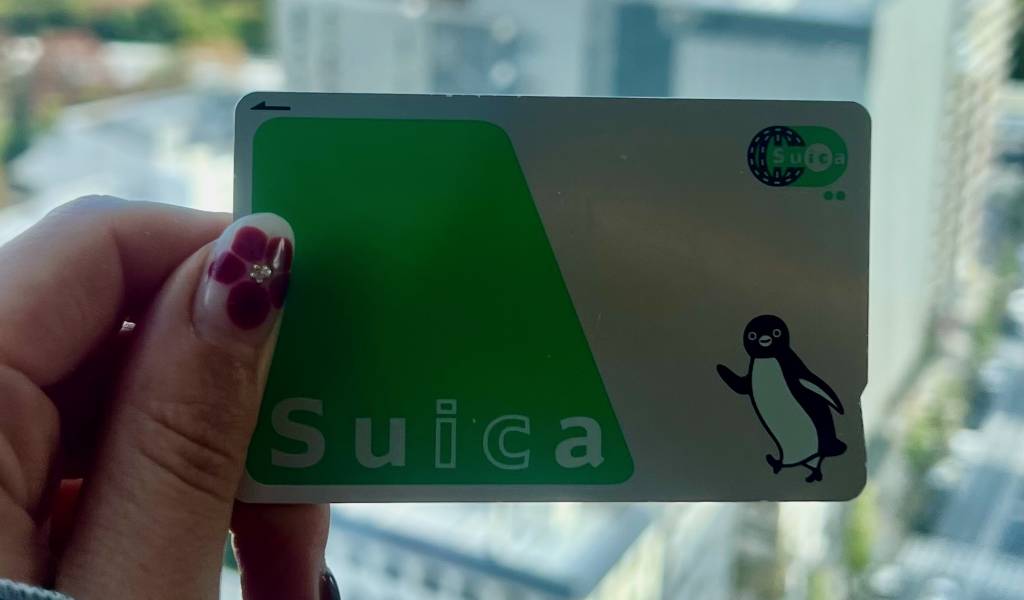 The Suica Penguin Vote Has Closed: The Winner Is Revealed November 18