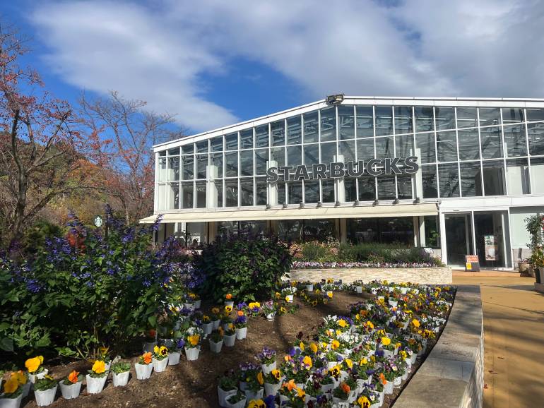 starbucks botanical hana biyori