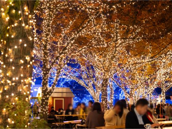 christmas advent 2025 visuals