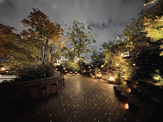 オモハラ omohara illuminations