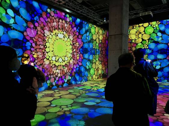 Digital art experience at the NAKED meets Gaudi exhibition in Tokyo 2026