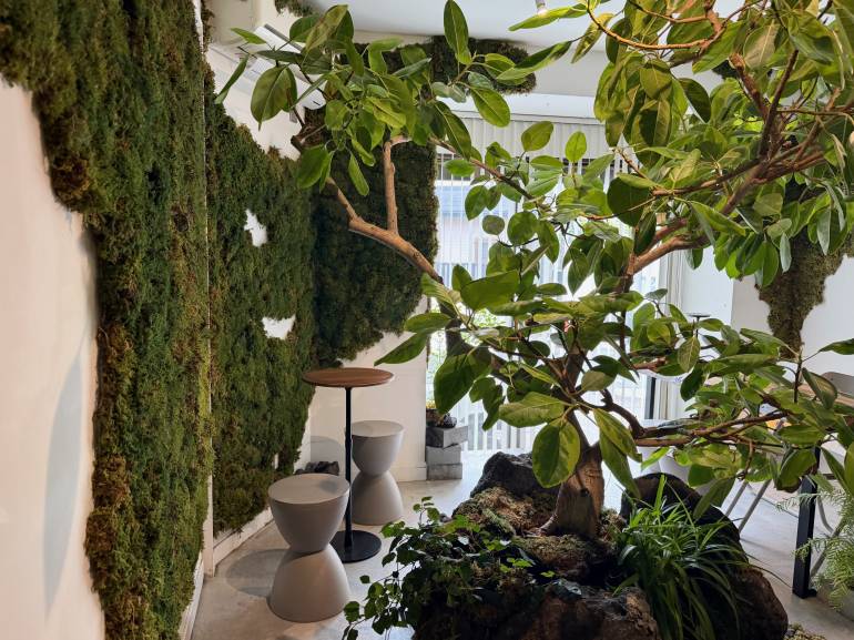 Moss wall at mi:ne cafe