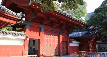 todai red gate