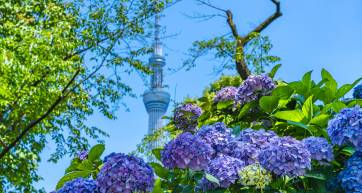 Sumida Park