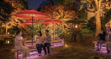 Zen night tokyo