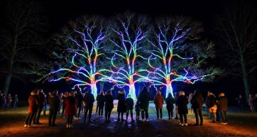 Three bare trees lit in rainbow colors, with a crowd of visitors in front