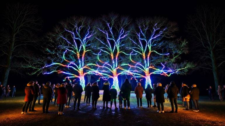 Three bare trees lit in rainbow colors, with a crowd of visitors in front
