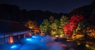Sea of mist across Kenchō-ji's Hōjō Garden at night, ringed by illuminated autumn leaves