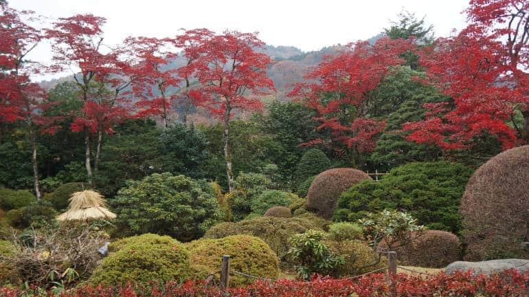 Nikko