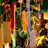 Tanabata wishes hanging in the bamboo
